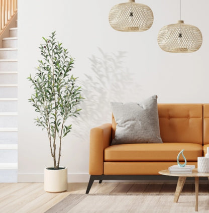 Simple Style Olive Tree